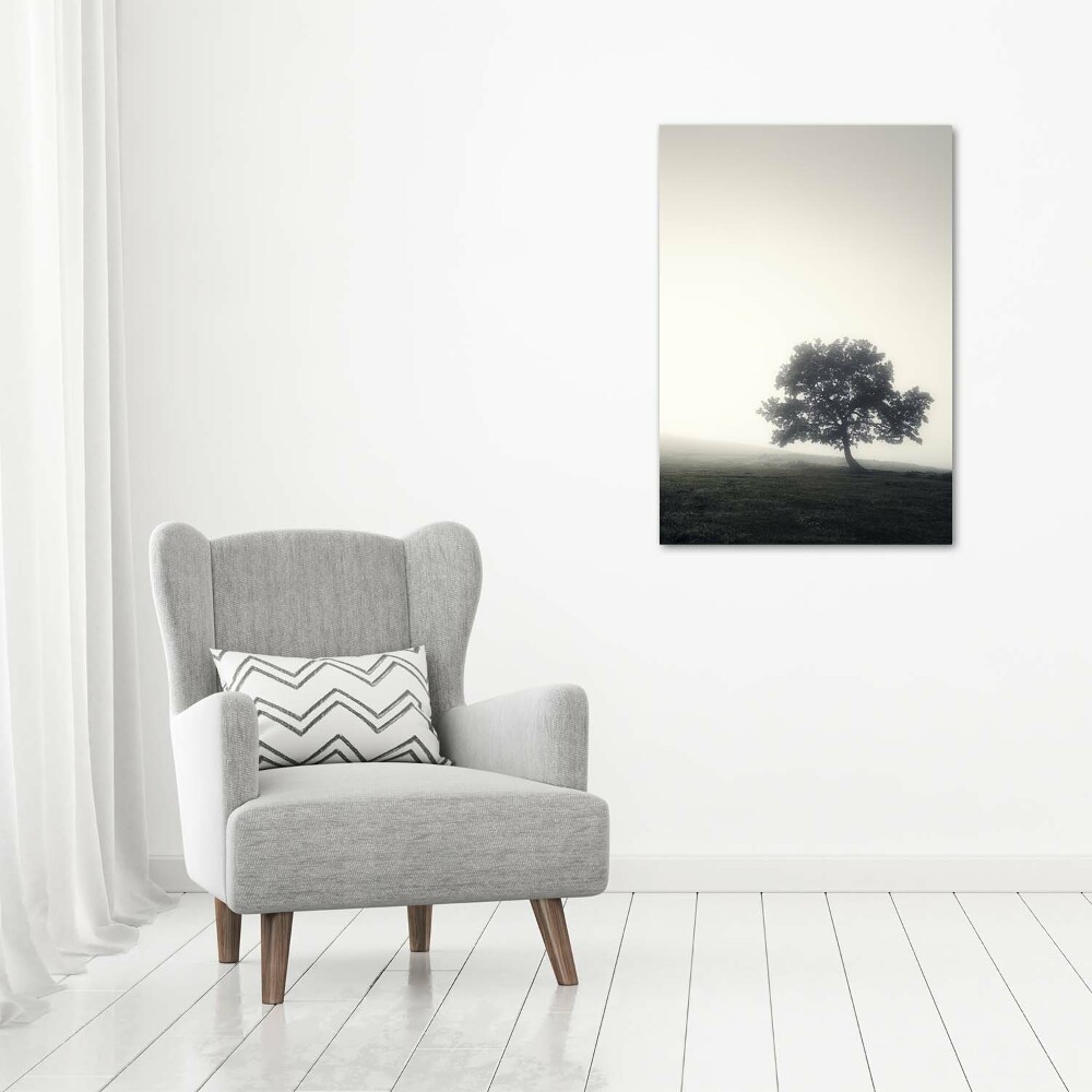 Tableau sur toile Arbre dans la brume