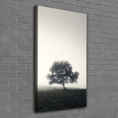 Tableau sur toile Arbre dans la brume