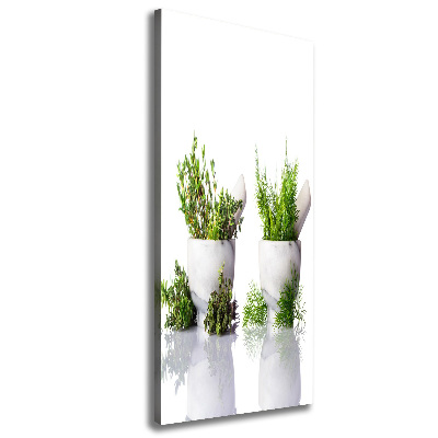 Tableau photo sur toile Mortiers et herbes