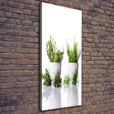 Tableau photo sur toile Mortiers et herbes