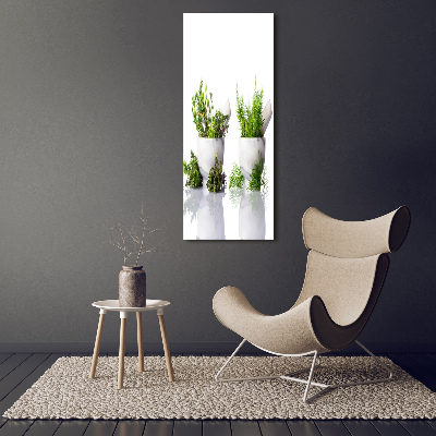 Tableau photo sur toile Mortiers et herbes