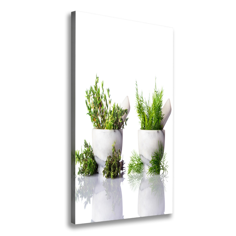 Tableau photo sur toile Mortiers et herbes