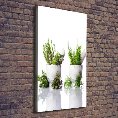 Tableau photo sur toile Mortiers et herbes