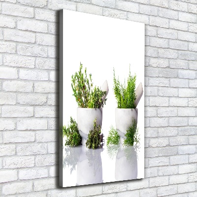 Tableau photo sur toile Mortiers et herbes