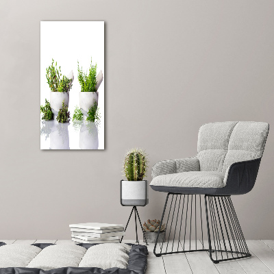 Tableau photo sur toile Mortiers et herbes