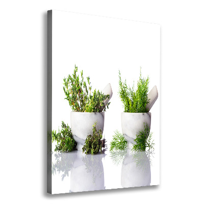 Tableau photo sur toile Mortiers et herbes