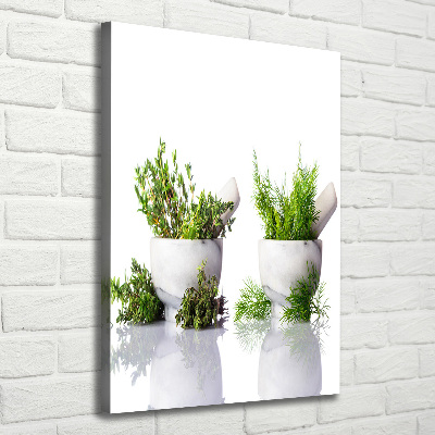 Tableau photo sur toile Mortiers et herbes