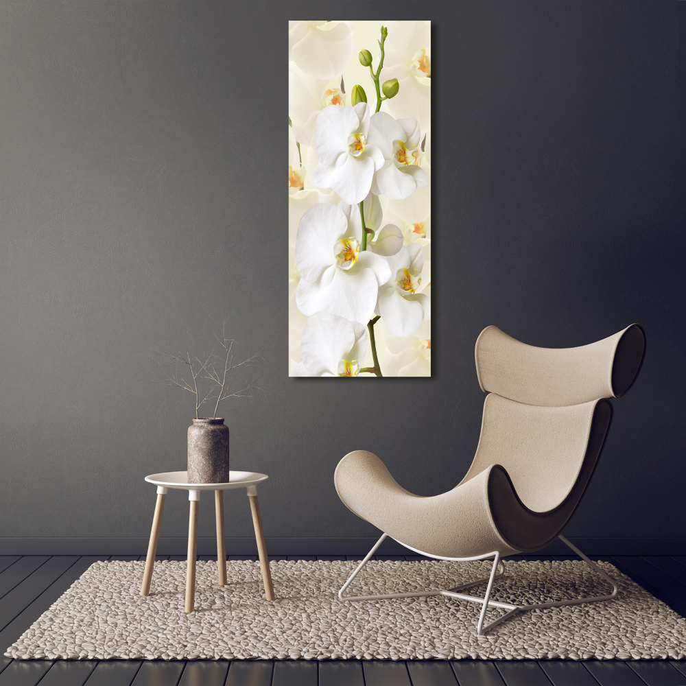 Tableau sur toile Orchidée blanche