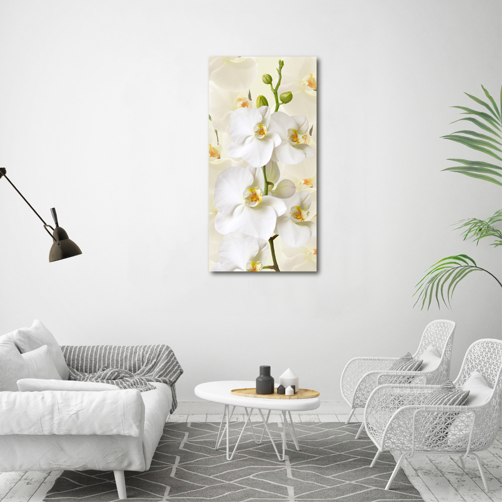 Tableau sur toile Orchidée blanche