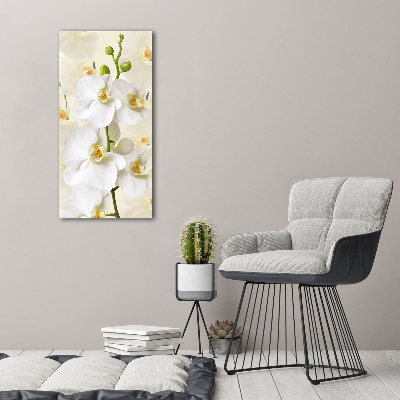 Tableau sur toile Orchidée blanche