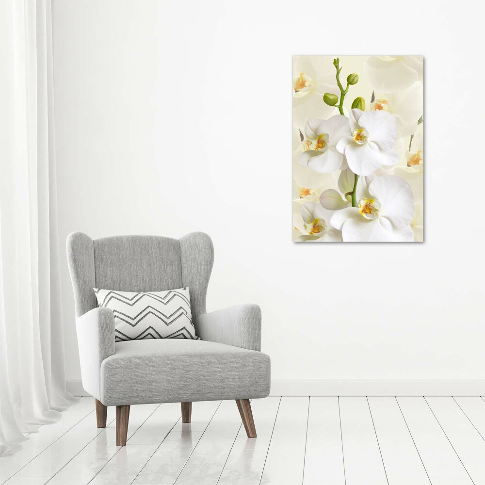 Tableau sur toile Orchidée blanche