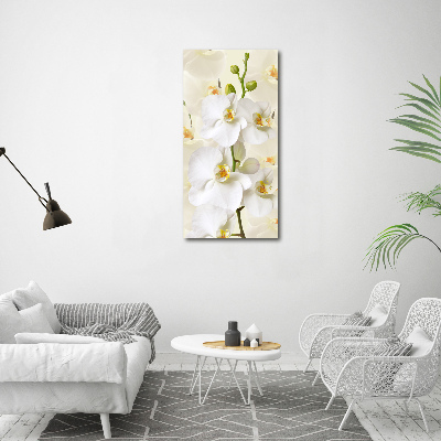 Tableau sur toile Orchidée blanche