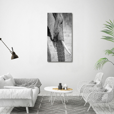 Tableau photo sur toile Éléphant