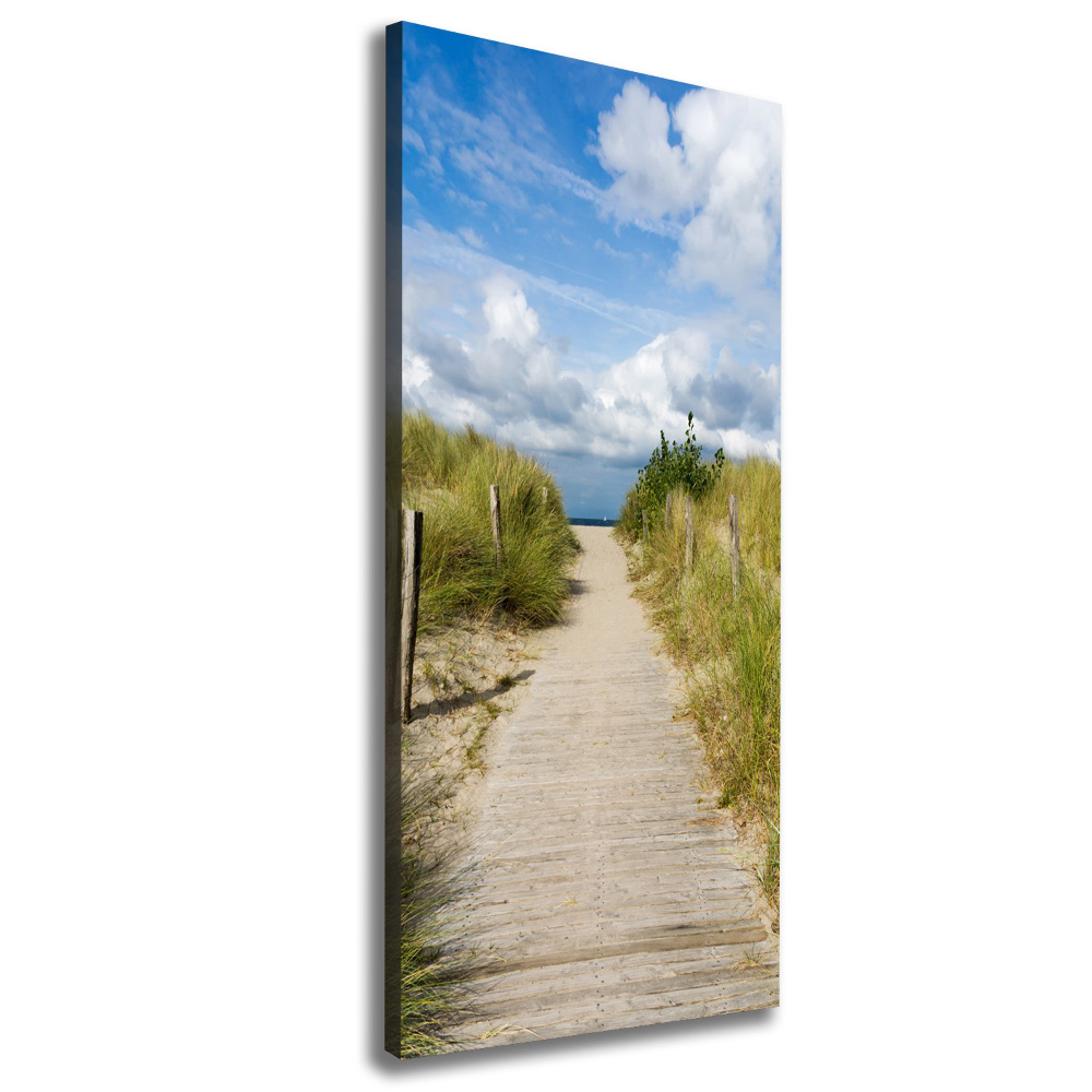 Tableau mural sur toile Sentier vers les plages