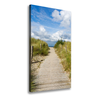 Tableau mural sur toile Sentier vers les plages