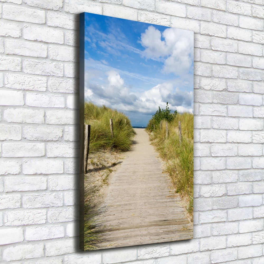 Tableau mural sur toile Sentier vers les plages