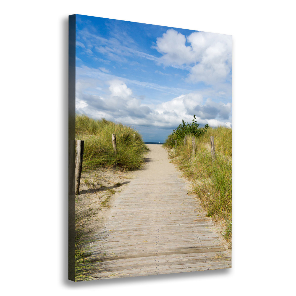 Tableau mural sur toile Sentier vers les plages