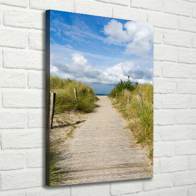 Tableau mural sur toile Sentier vers les plages