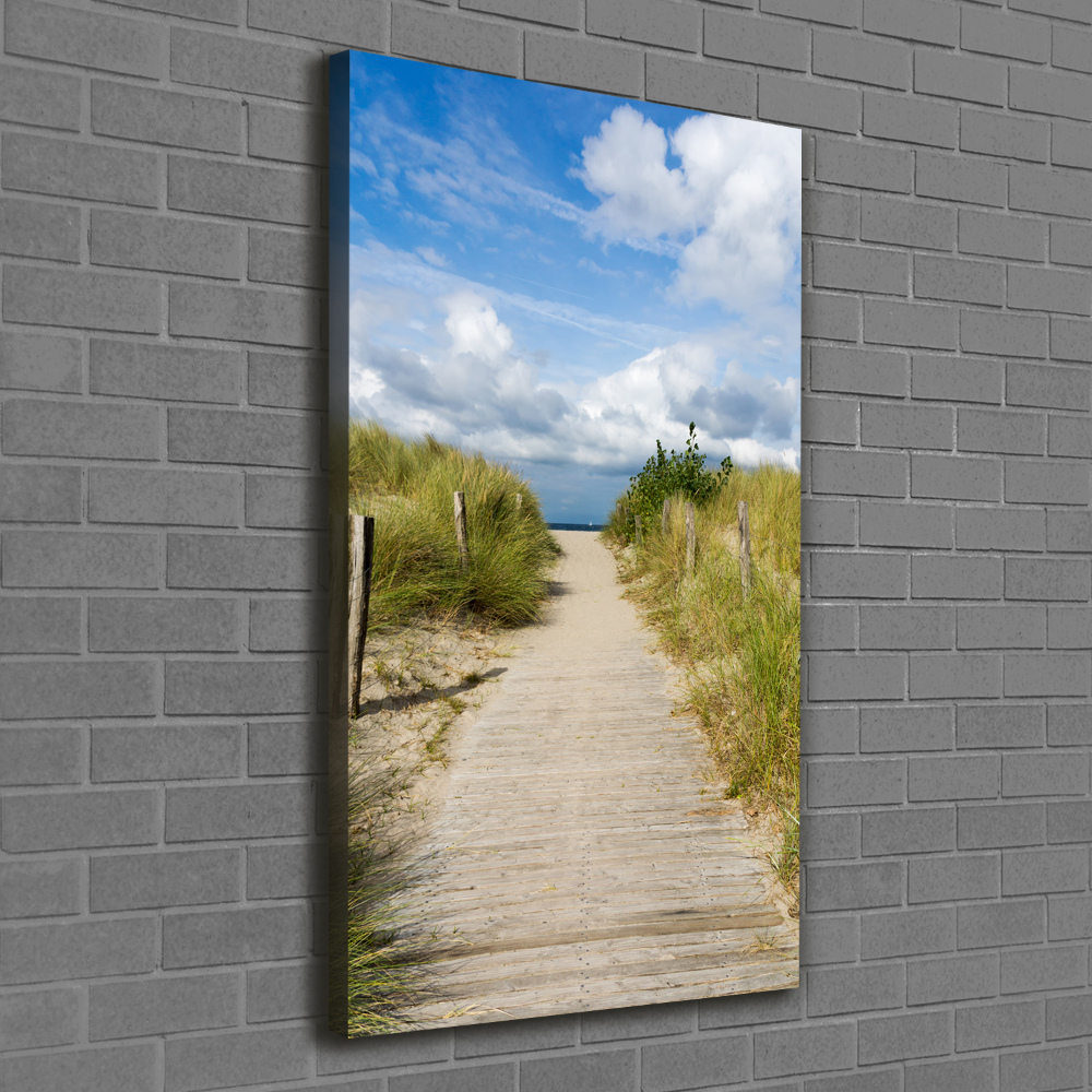 Tableau mural sur toile Sentier vers les plages