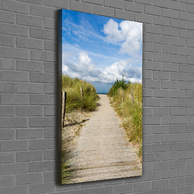 Tableau mural sur toile Sentier vers les plages