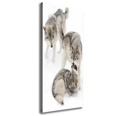 Tableau mural sur toile Loup gris