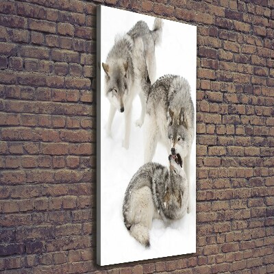 Tableau mural sur toile Loup gris