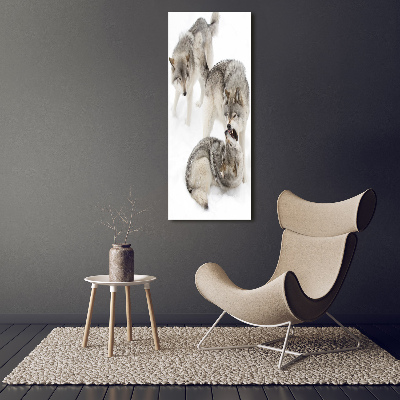 Tableau mural sur toile Loup gris