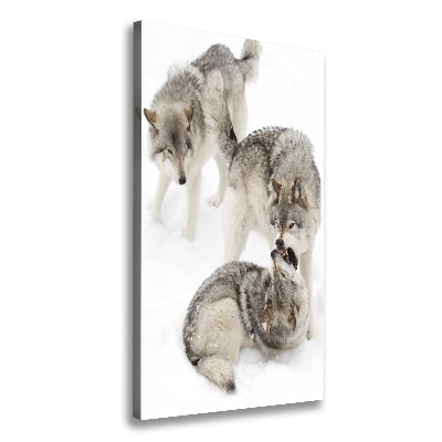 Tableau mural sur toile Loup gris