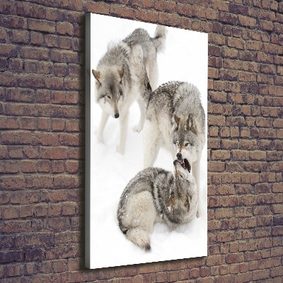 Tableau mural sur toile Loup gris