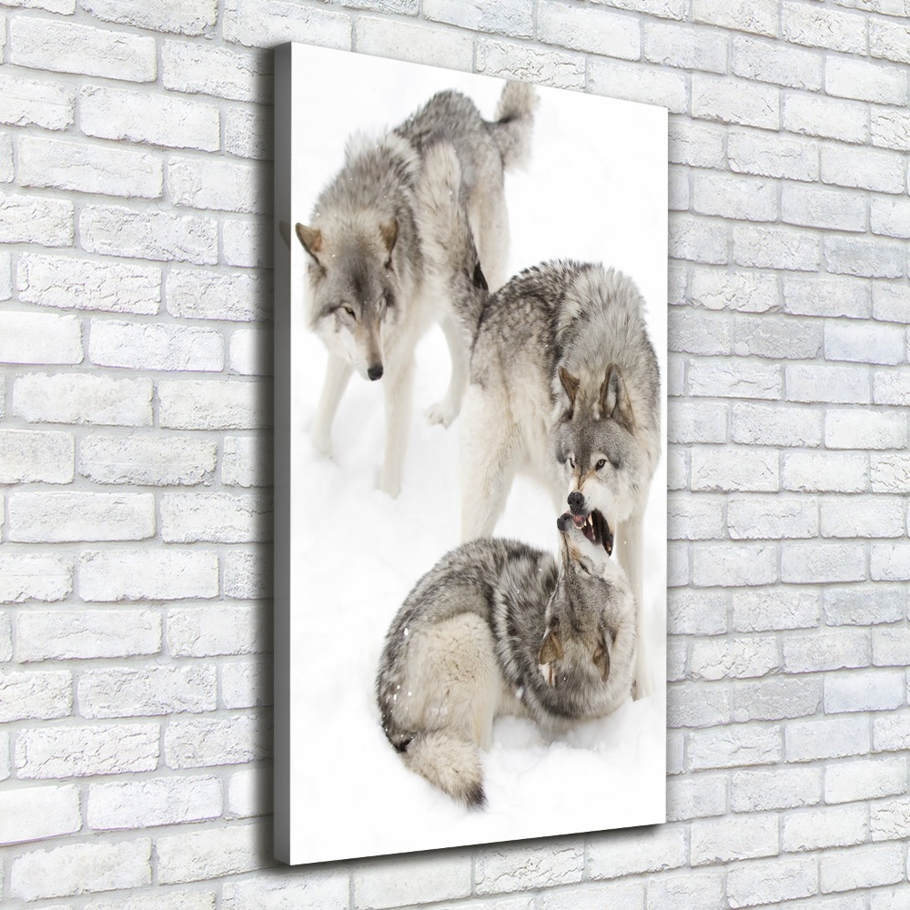 Tableau mural sur toile Loup gris