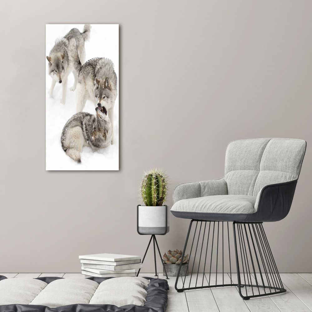 Tableau mural sur toile Loup gris