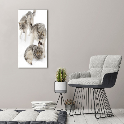 Tableau mural sur toile Loup gris