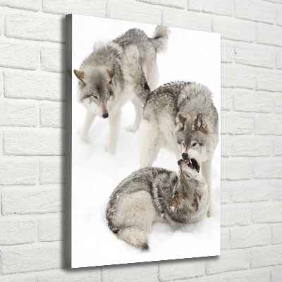 Tableau mural sur toile Loup gris