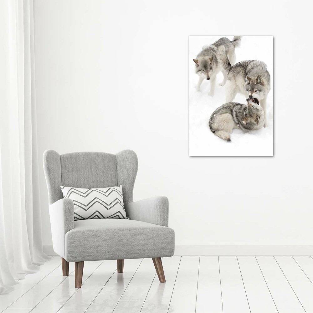 Tableau mural sur toile Loup gris