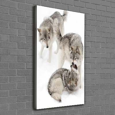 Tableau mural sur toile Loup gris