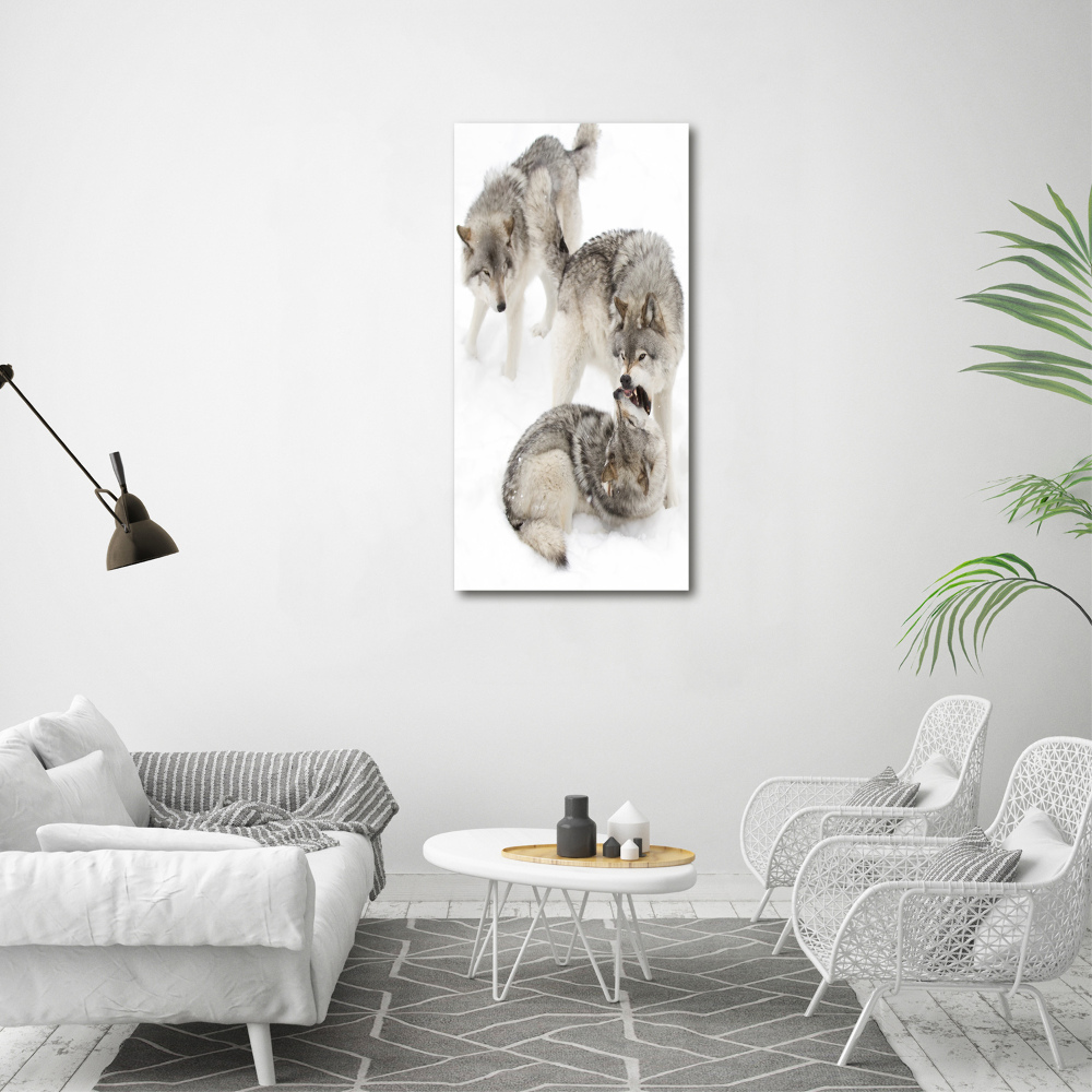 Tableau mural sur toile Loup gris