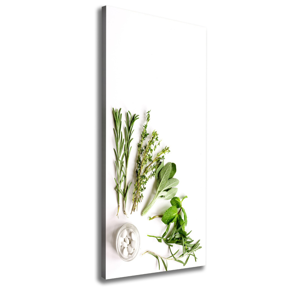 Tableau photo sur toile Herbes