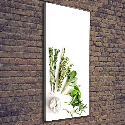 Tableau photo sur toile Herbes