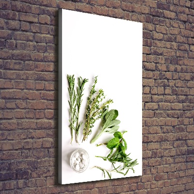 Tableau photo sur toile Herbes