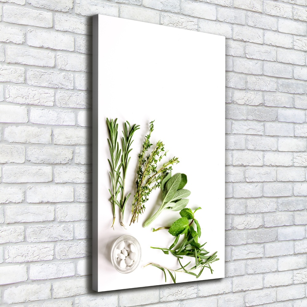 Tableau photo sur toile Herbes