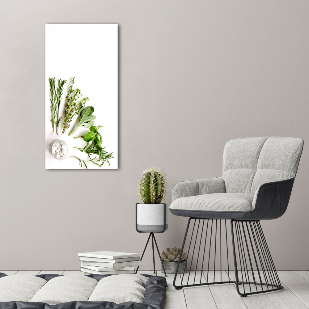 Tableau photo sur toile Herbes