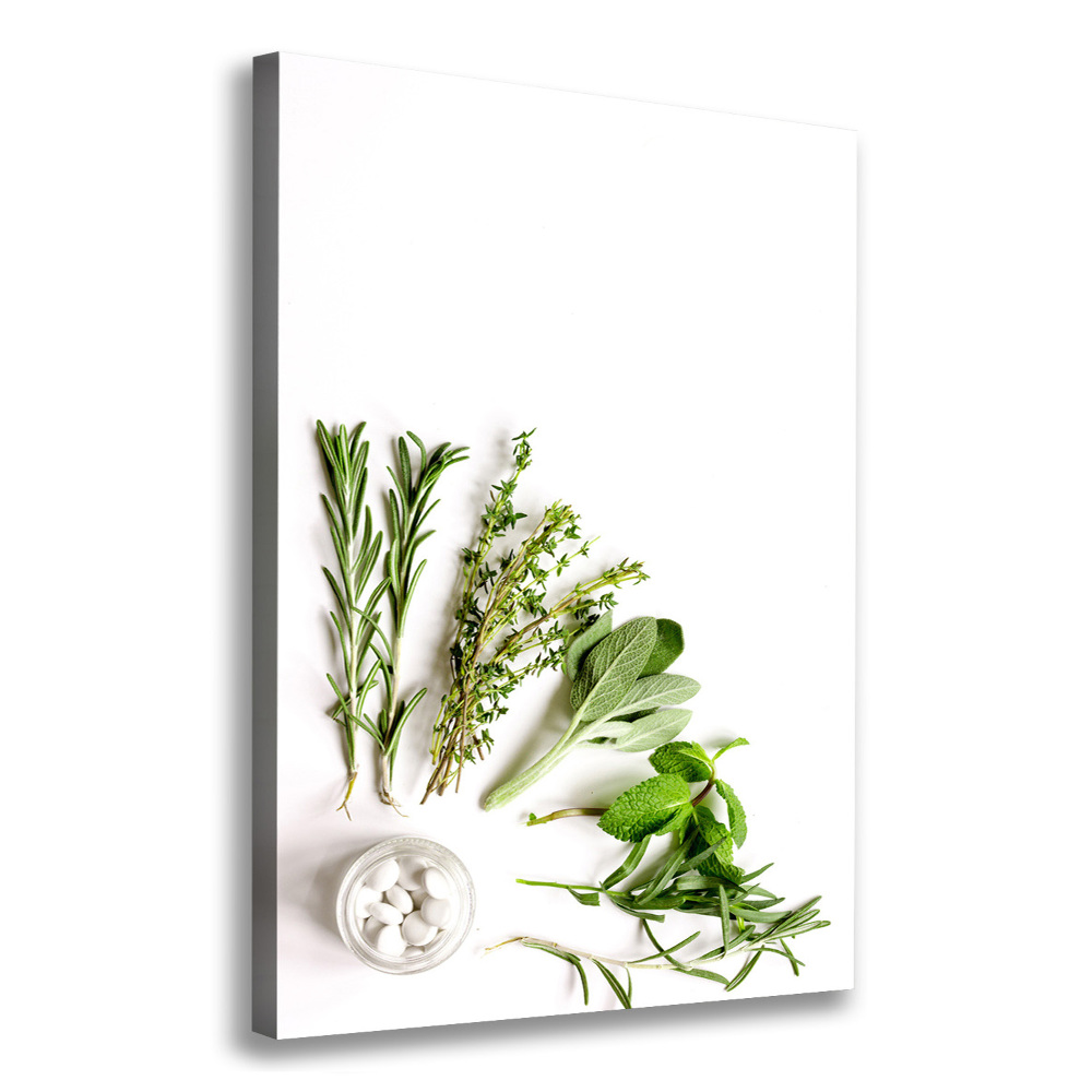 Tableau photo sur toile Herbes