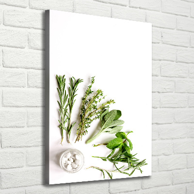 Tableau photo sur toile Herbes