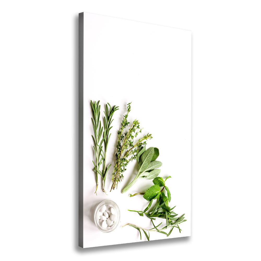 Tableau photo sur toile Herbes