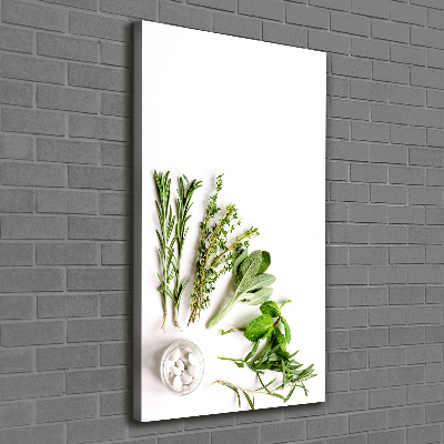 Tableau photo sur toile Herbes