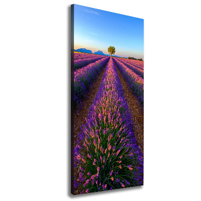 Tableau sur toile Fleurs violettes de lavande