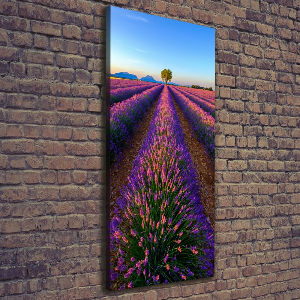 Tableau sur toile Fleurs violettes de lavande