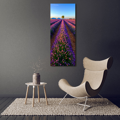 Tableau sur toile Fleurs violettes de lavande