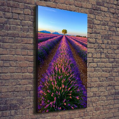 Tableau sur toile Fleurs violettes de lavande