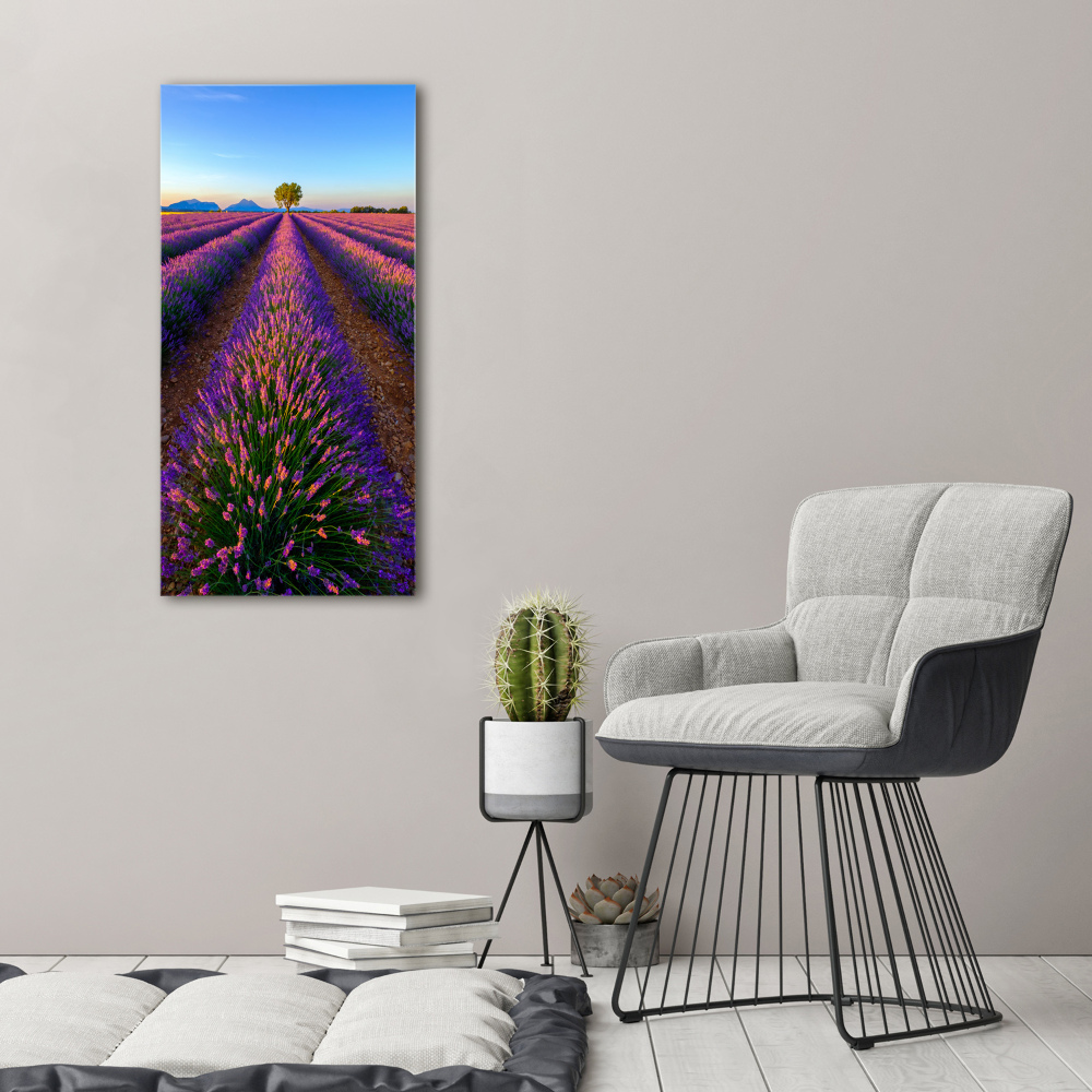 Tableau sur toile Fleurs violettes de lavande